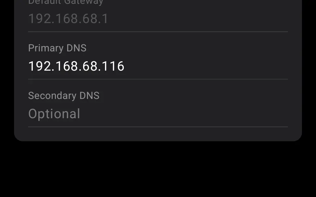 TP-Link Router DHCP DNS settings example