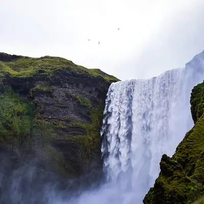 Cover image for Exploring the Power of Web Browsers in 2020