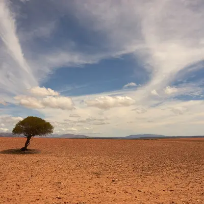 Cover image for Running 24/7 Local AI on an Old Android without Overheating